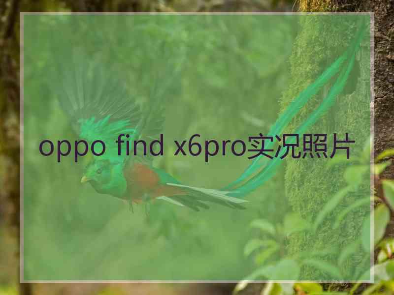 oppo find x6pro实况照片