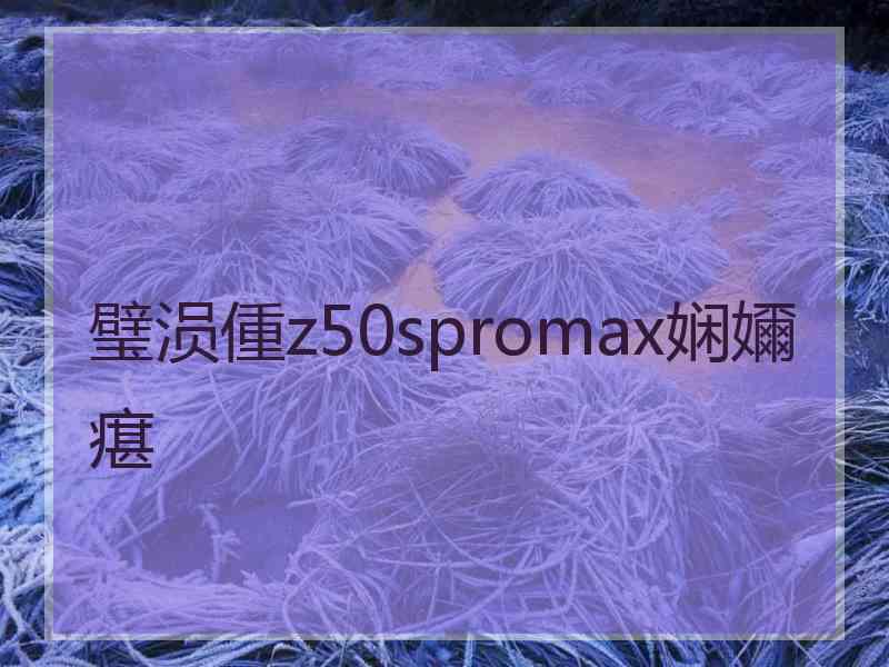 璧涢偅z50spromax娴嬭瘎