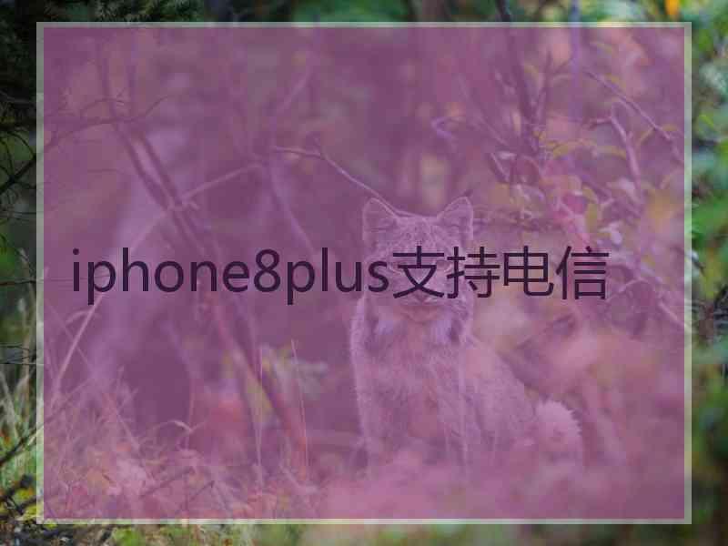 iphone8plus支持电信