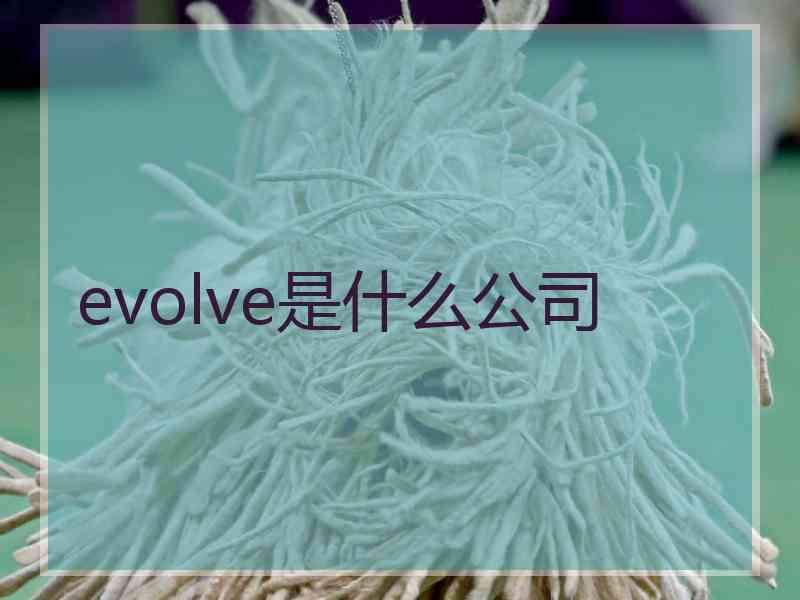 evolve是什么公司