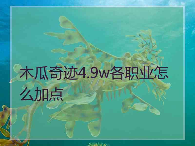 木瓜奇迹4.9w各职业怎么加点