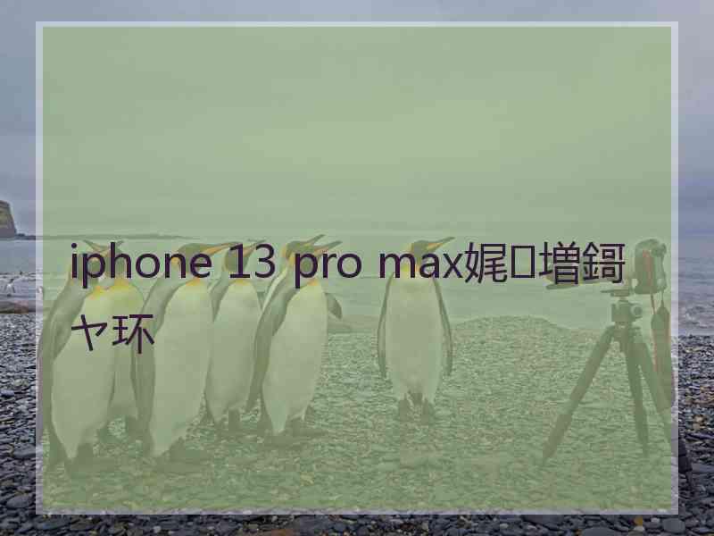 iphone 13 pro max娓増鎶ヤ环