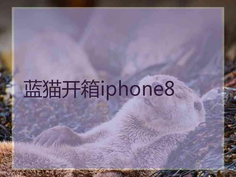 蓝猫开箱iphone8