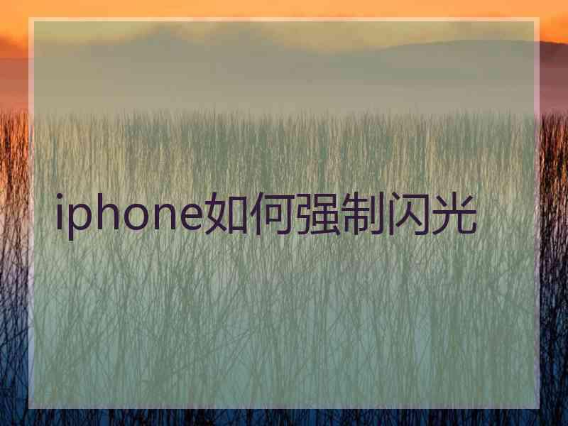 iphone如何强制闪光