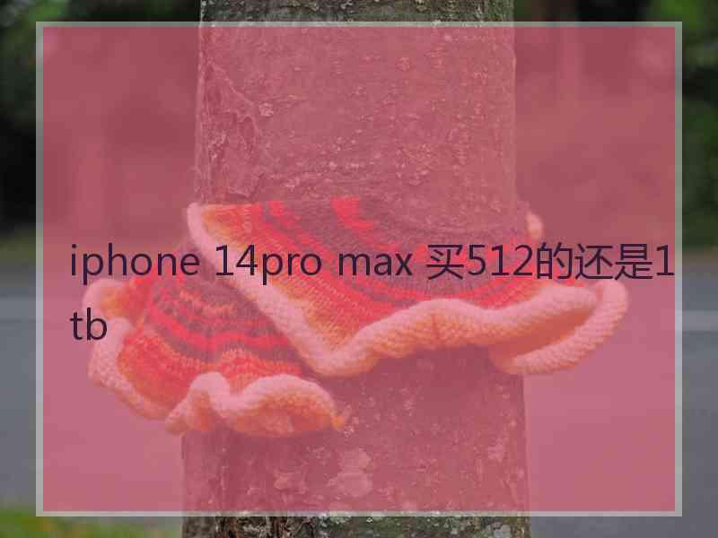 iphone 14pro max 买512的还是1tb