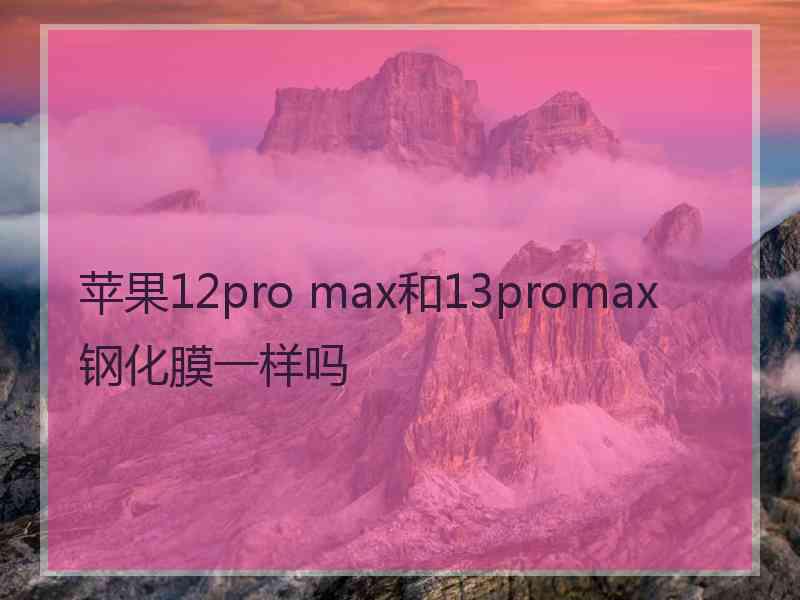 苹果12pro max和13promax钢化膜一样吗