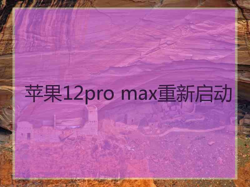 苹果12pro max重新启动