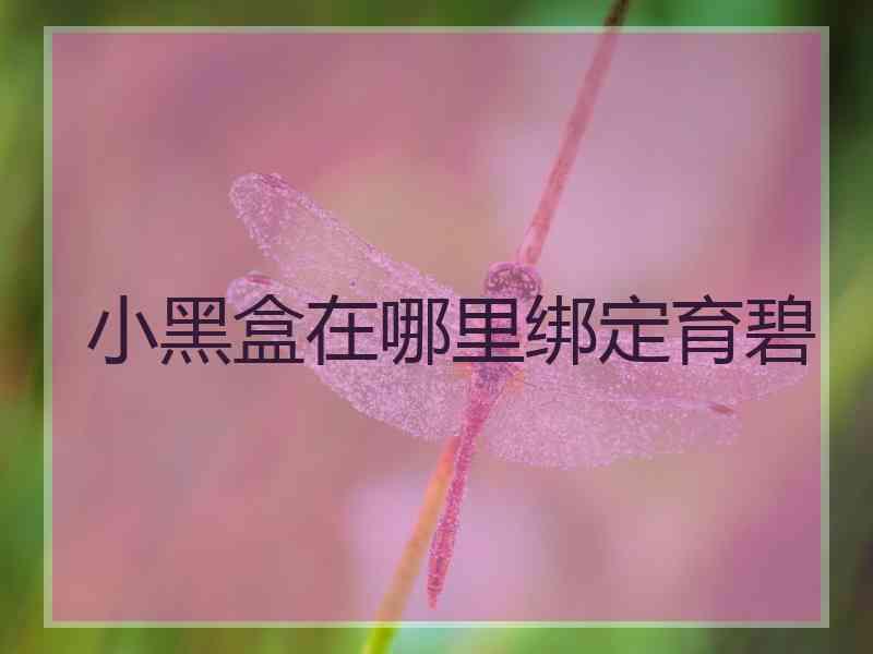 小黑盒在哪里绑定育碧