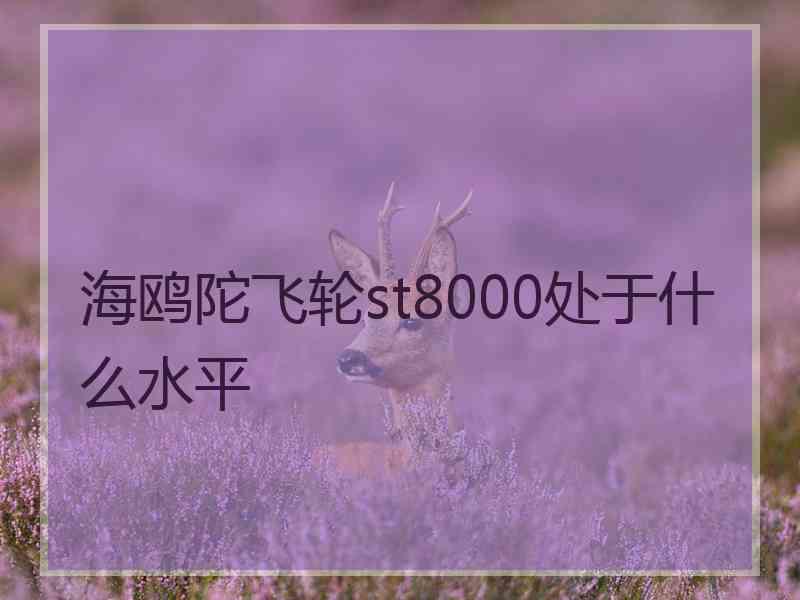 海鸥陀飞轮st8000处于什么水平