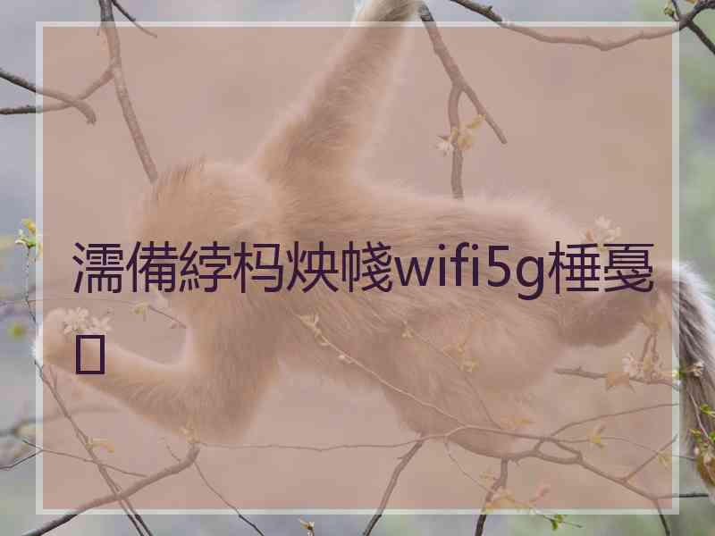 濡備綍杩炴帴wifi5g棰戞