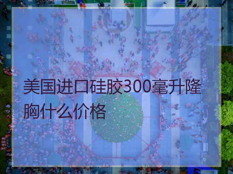 美国进口硅胶300毫升隆胸什么价格