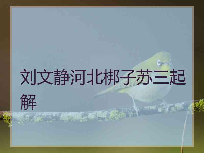 刘文静河北梆子苏三起解