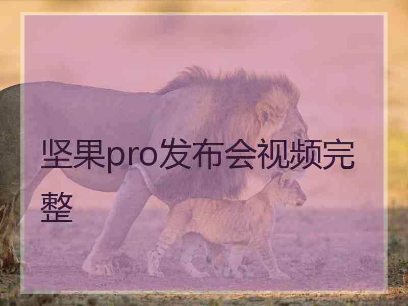 坚果pro发布会视频完整