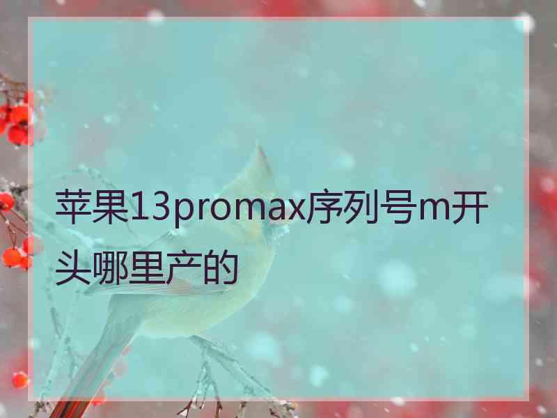 苹果13promax序列号m开头哪里产的