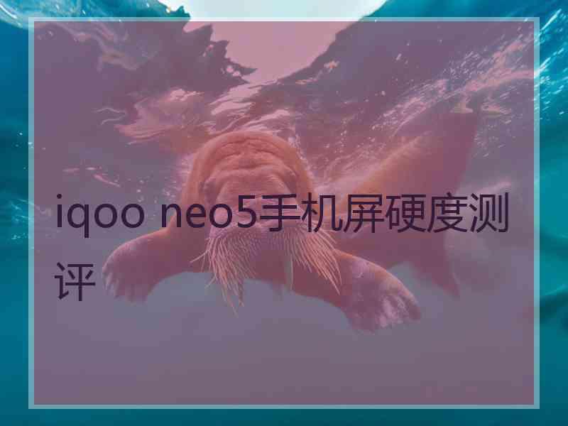 iqoo neo5手机屏硬度测评