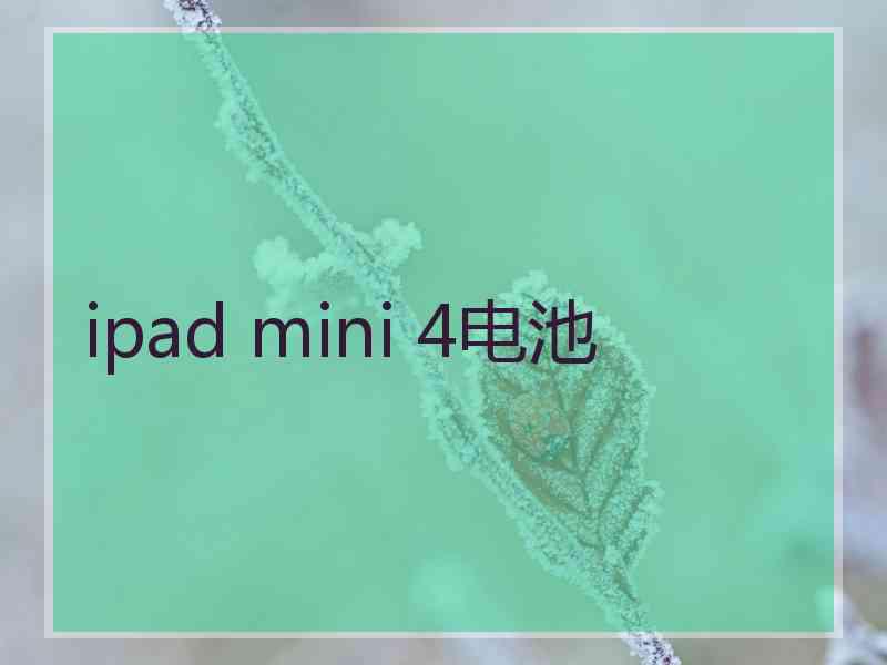 ipad mini 4电池