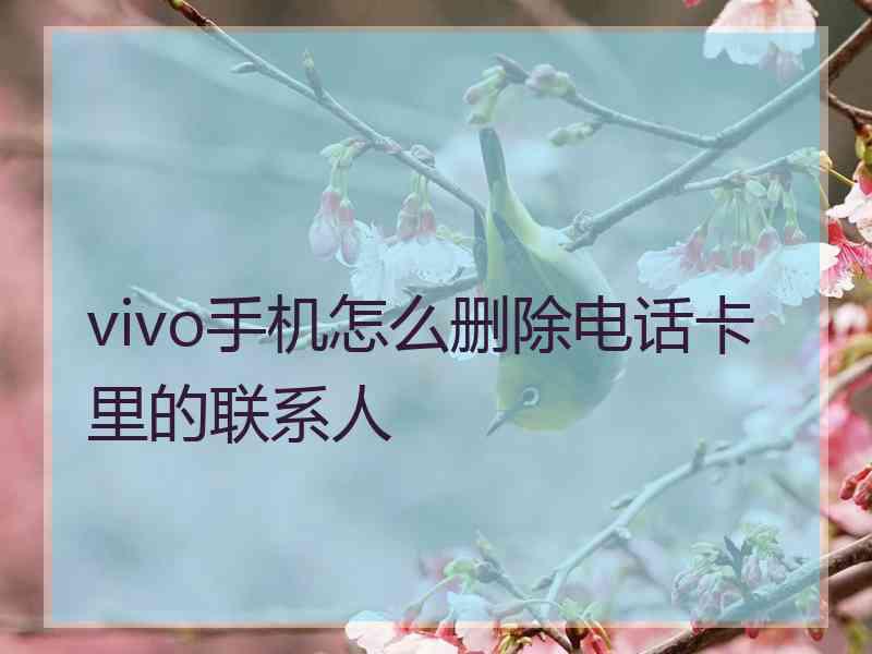 vivo手机怎么删除电话卡里的联系人