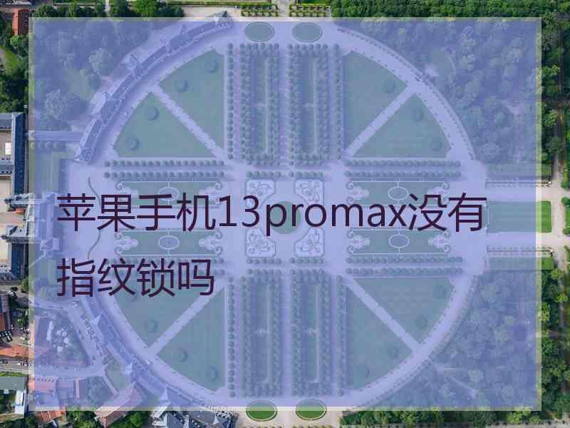 苹果手机13promax没有指纹锁吗