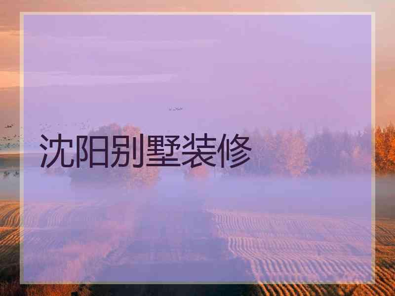 沈阳别墅装修