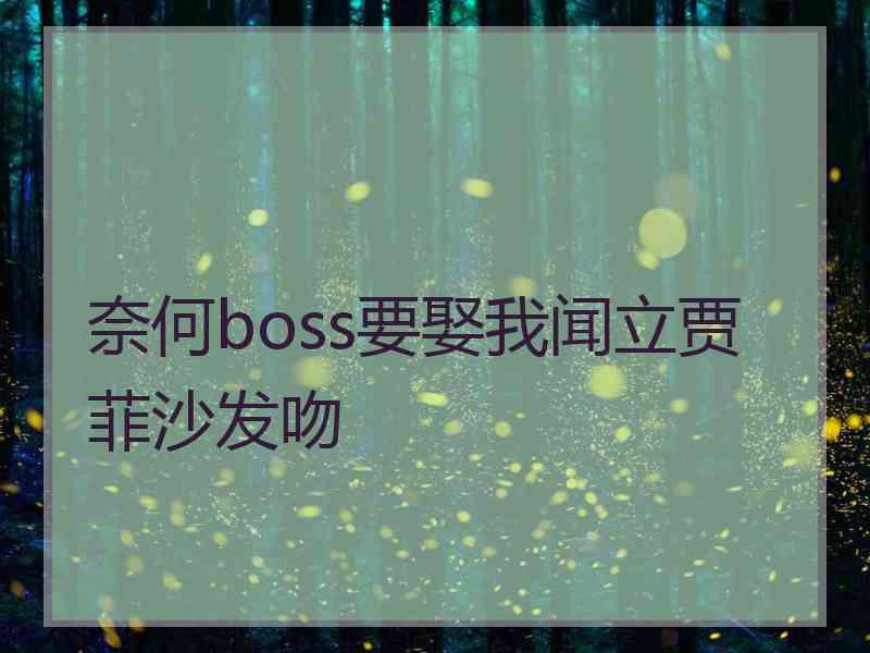 奈何boss要娶我闻立贾菲沙发吻