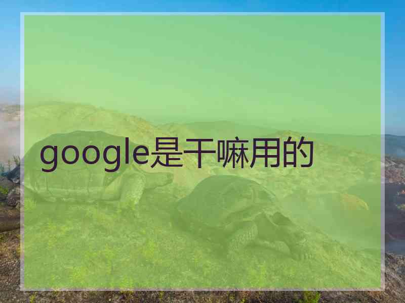 google是干嘛用的