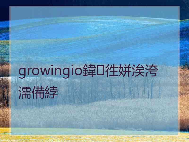 growingio鍏徃姘涘洿濡備綍