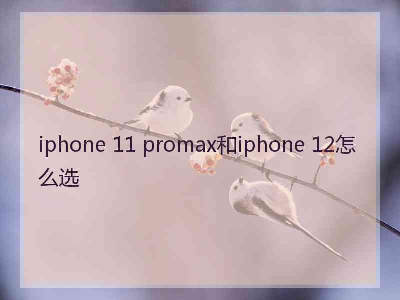 iphone 11 promax和iphone 12怎么选