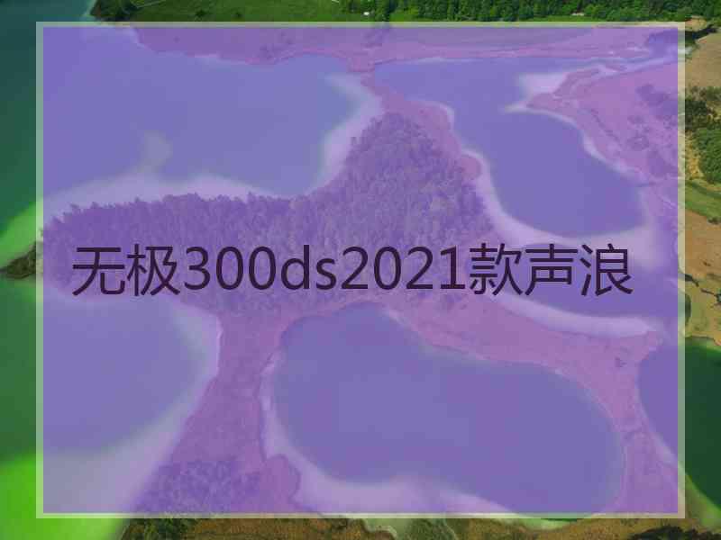 无极300ds2021款声浪