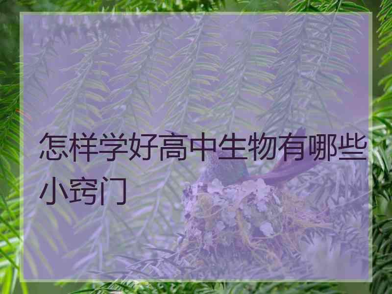 怎样学好高中生物有哪些小窍门