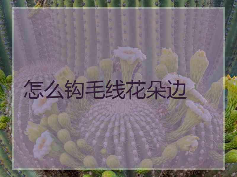 怎么钩毛线花朵边