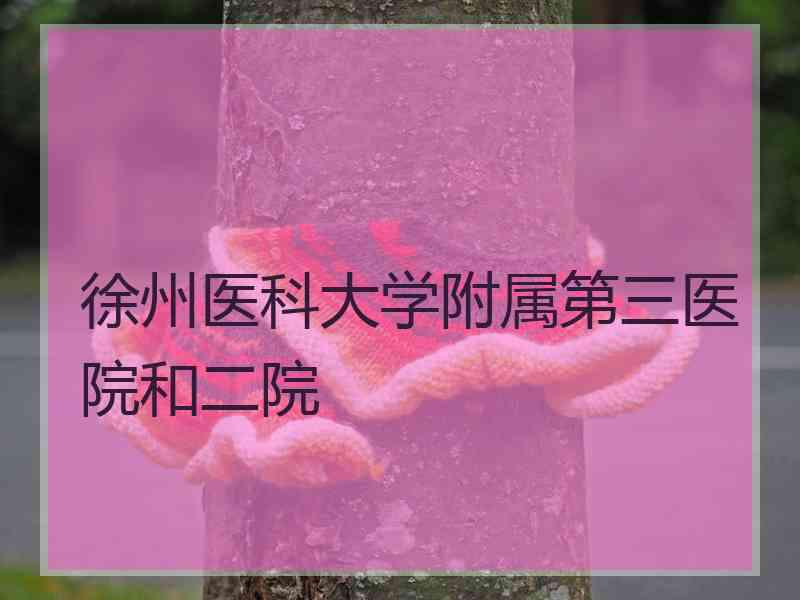 徐州医科大学附属第三医院和二院