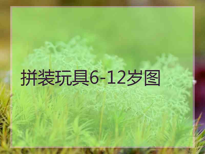 拼装玩具6-12岁图