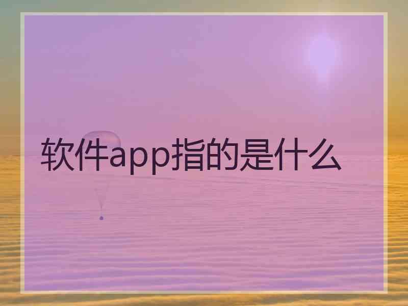 软件app指的是什么