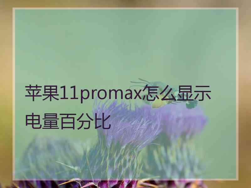 苹果11promax怎么显示电量百分比