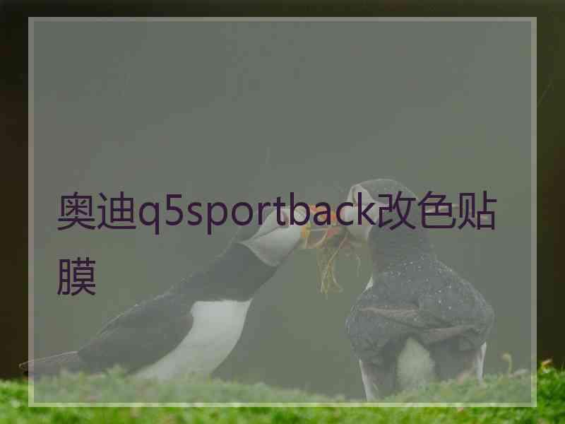 奥迪q5sportback改色贴膜