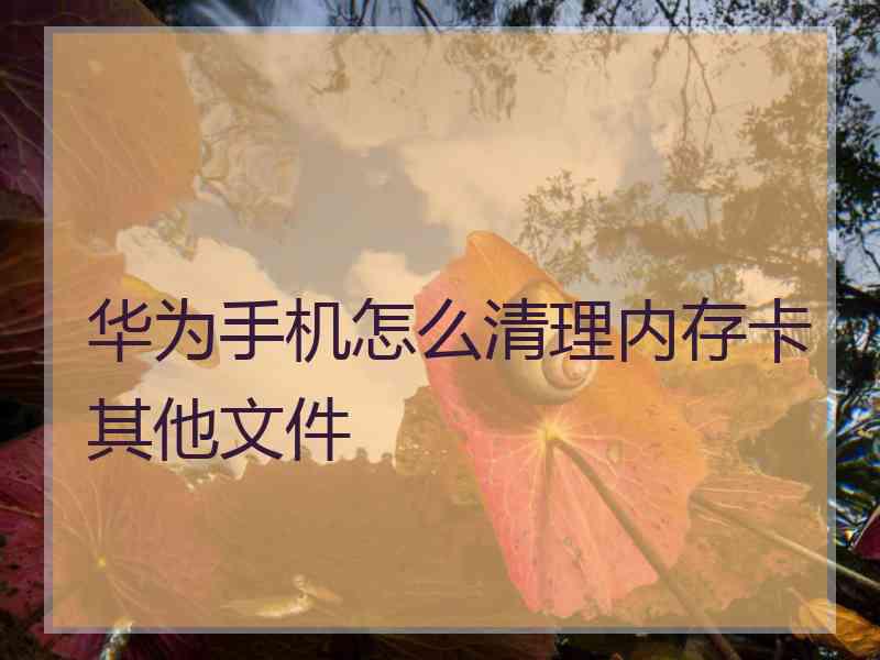 华为手机怎么清理内存卡其他文件