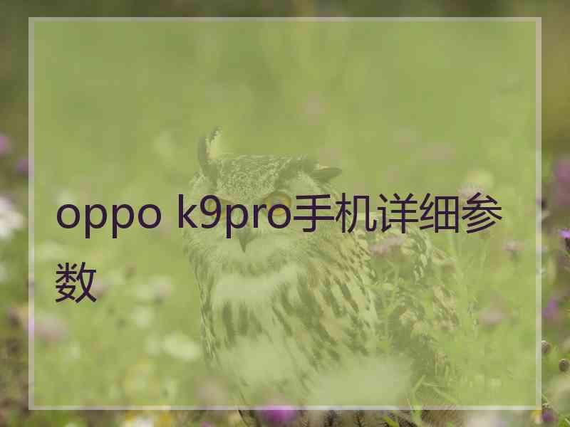 oppo k9pro手机详细参数