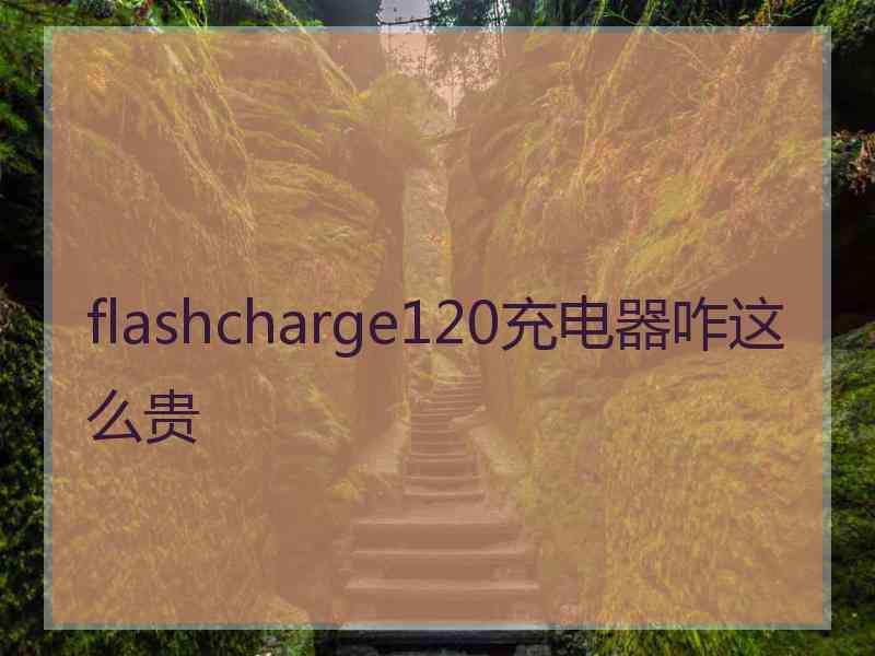 flashcharge120充电器咋这么贵