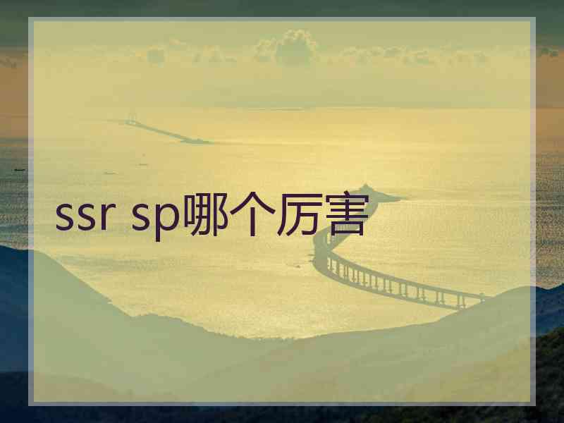 ssr sp哪个厉害