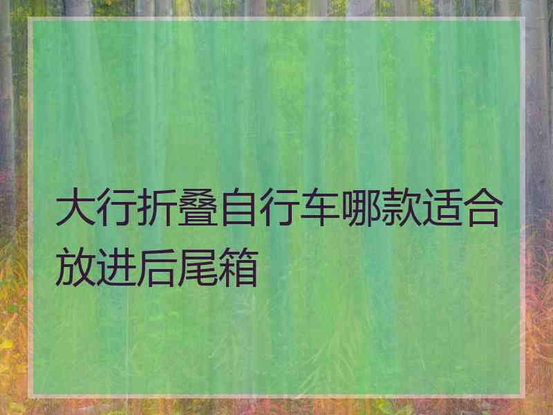 大行折叠自行车哪款适合放进后尾箱