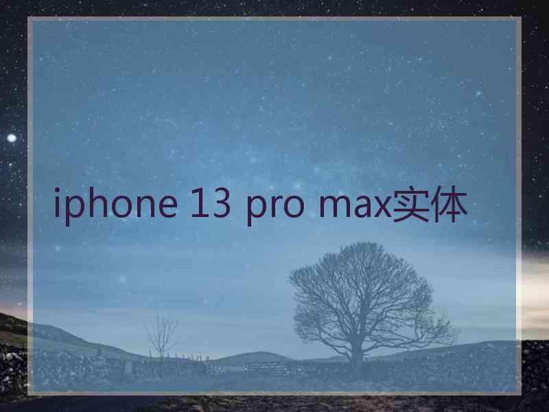 iphone 13 pro max实体
