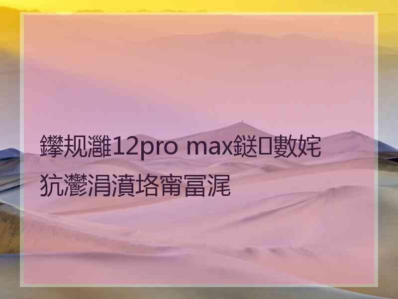 鑻规灉12pro max鎹㈢數姹犺灪涓濆垎甯冨浘