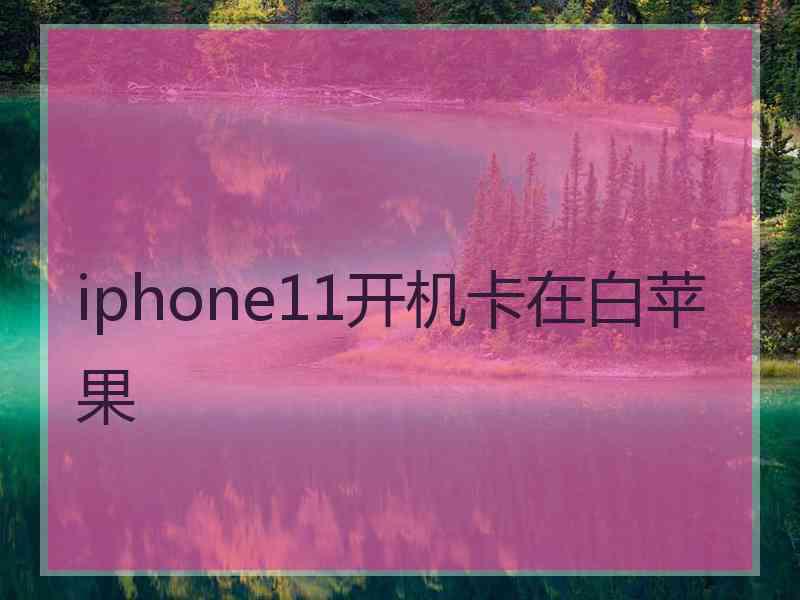 iphone11开机卡在白苹果