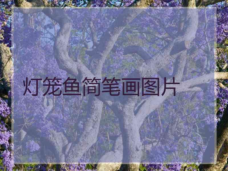 灯笼鱼简笔画图片