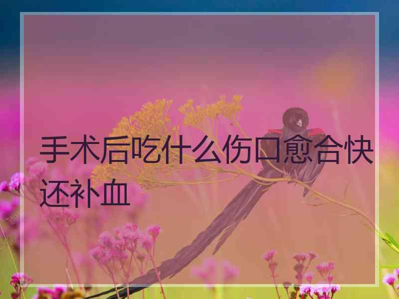 手术后吃什么伤口愈合快还补血