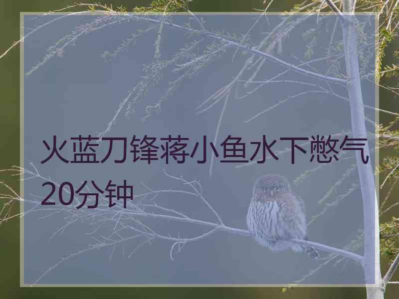 火蓝刀锋蒋小鱼水下憋气20分钟