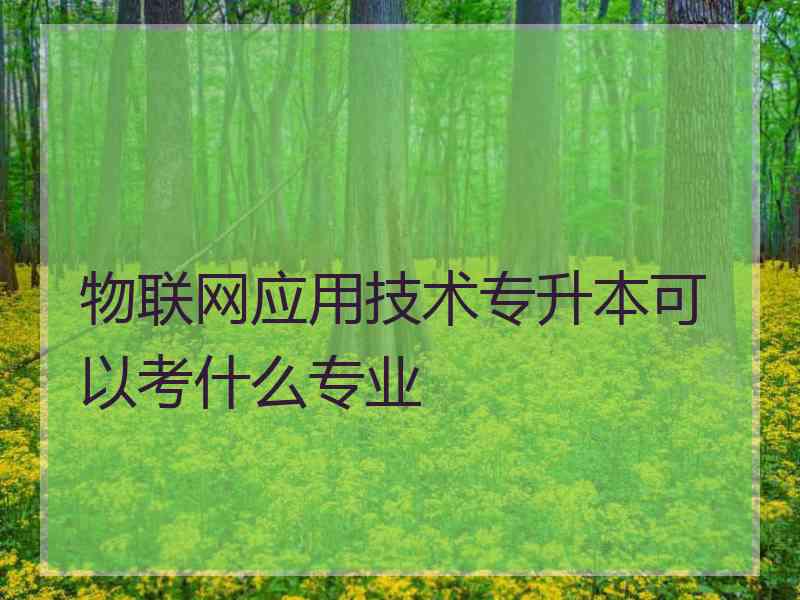 物联网应用技术专升本可以考什么专业