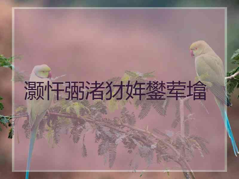 灏忓弻渚犲姩鐢荤墖