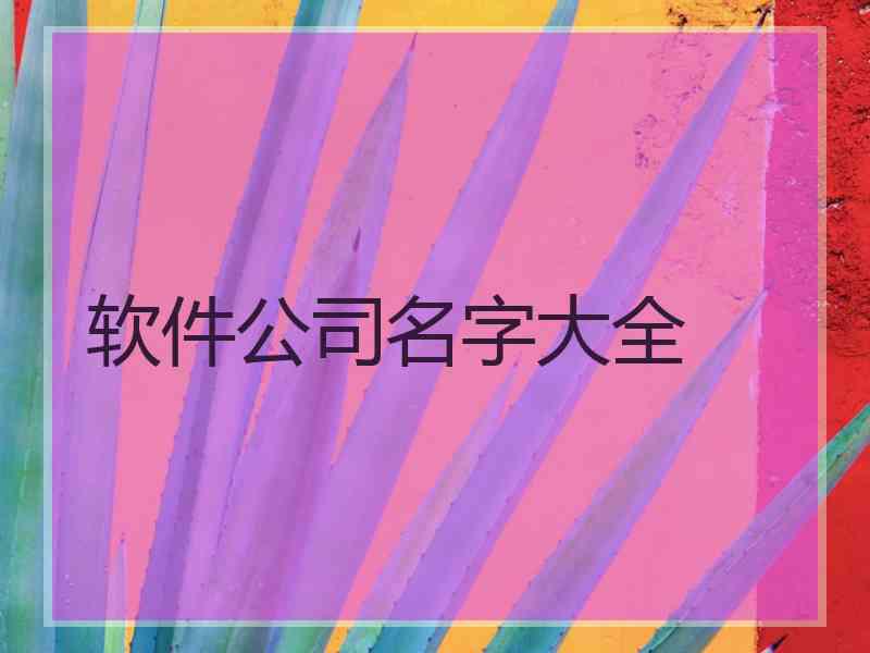 软件公司名字大全