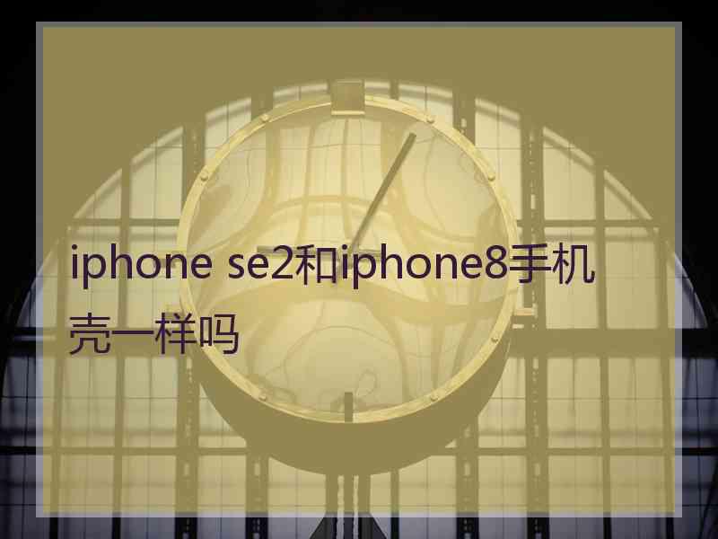 iphone se2和iphone8手机壳一样吗